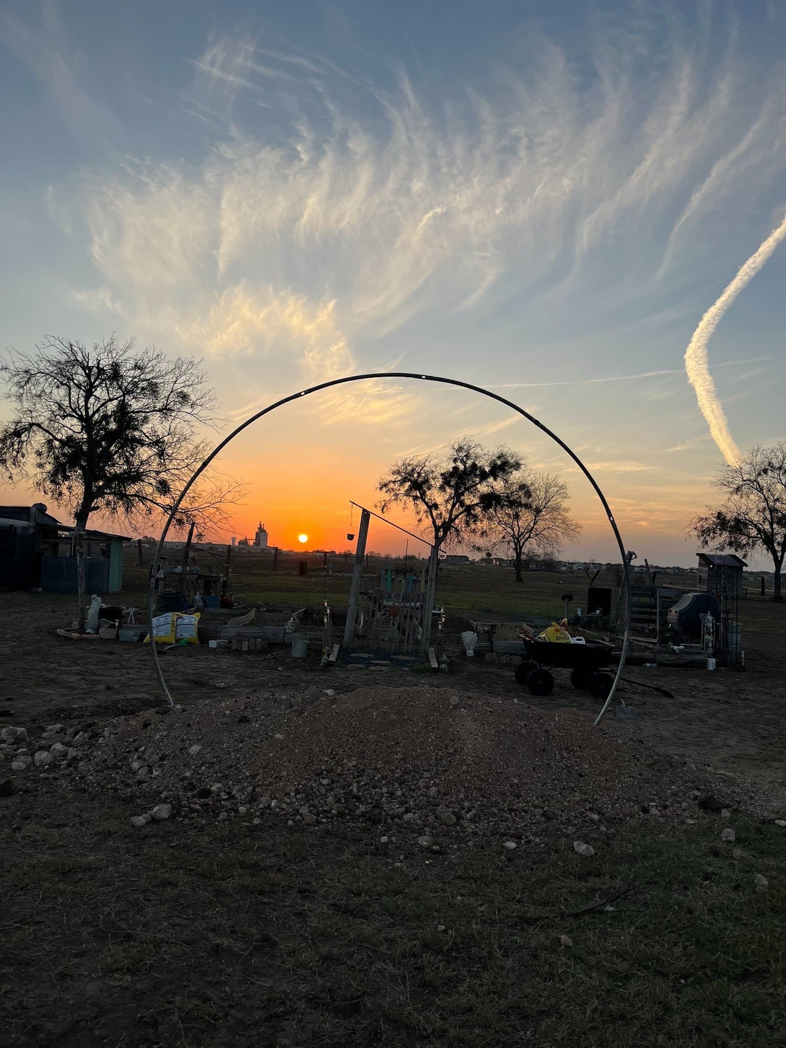 Yearly Hunt — Benny's Dove Hunter's Paradise